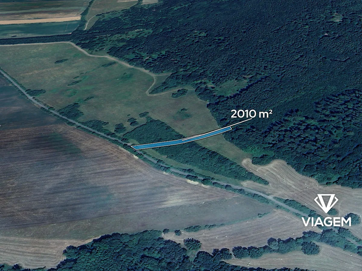 Prodej podílu 5/6 pole 1675 m²
