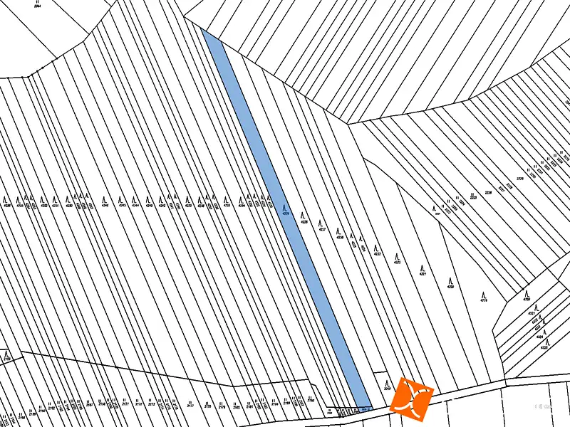 Prodej lesa 2484 m², Veselí nad Moravou – náhled fotky 2