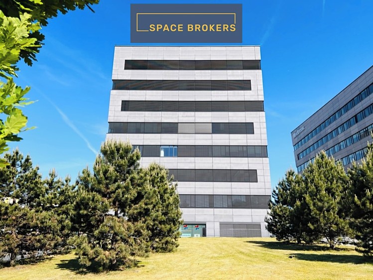 Комерційне приміщення в оренду, 285 м² (3 з 30)