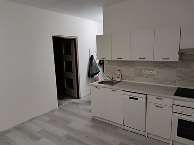 Prodej bytu 1+1 47 m²