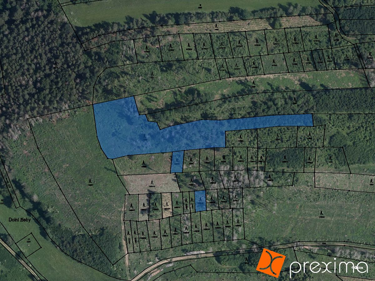 Prodej lesa 20095 m²