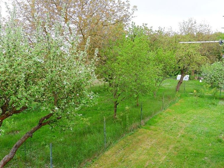 Haus zum Kauf, 136 m² (15 von 16)