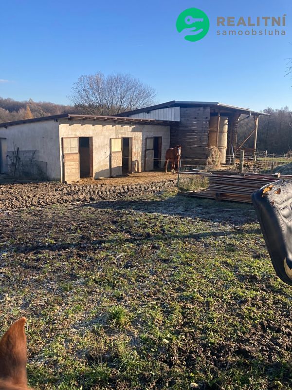 Prodej rodinného domu 200 m², pozemek 17942 m² – fotografie 4