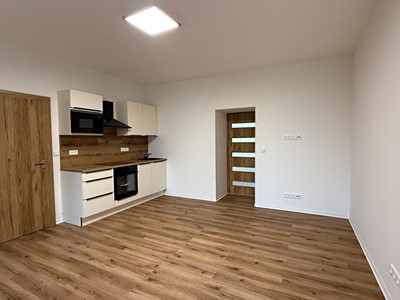 Pronájem bytu 2+kk 48 m² (Jednopodlažní)