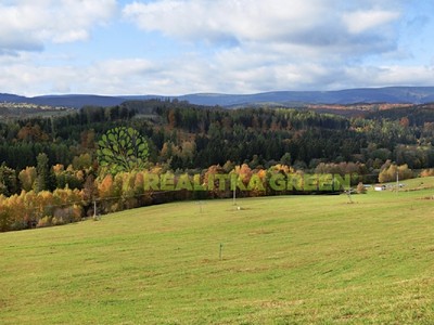 Prodej  pole 21 953 m²