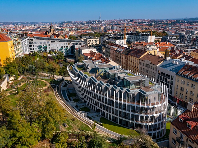 Комерційне приміщення в оренду, 345 м² (11 з 15)