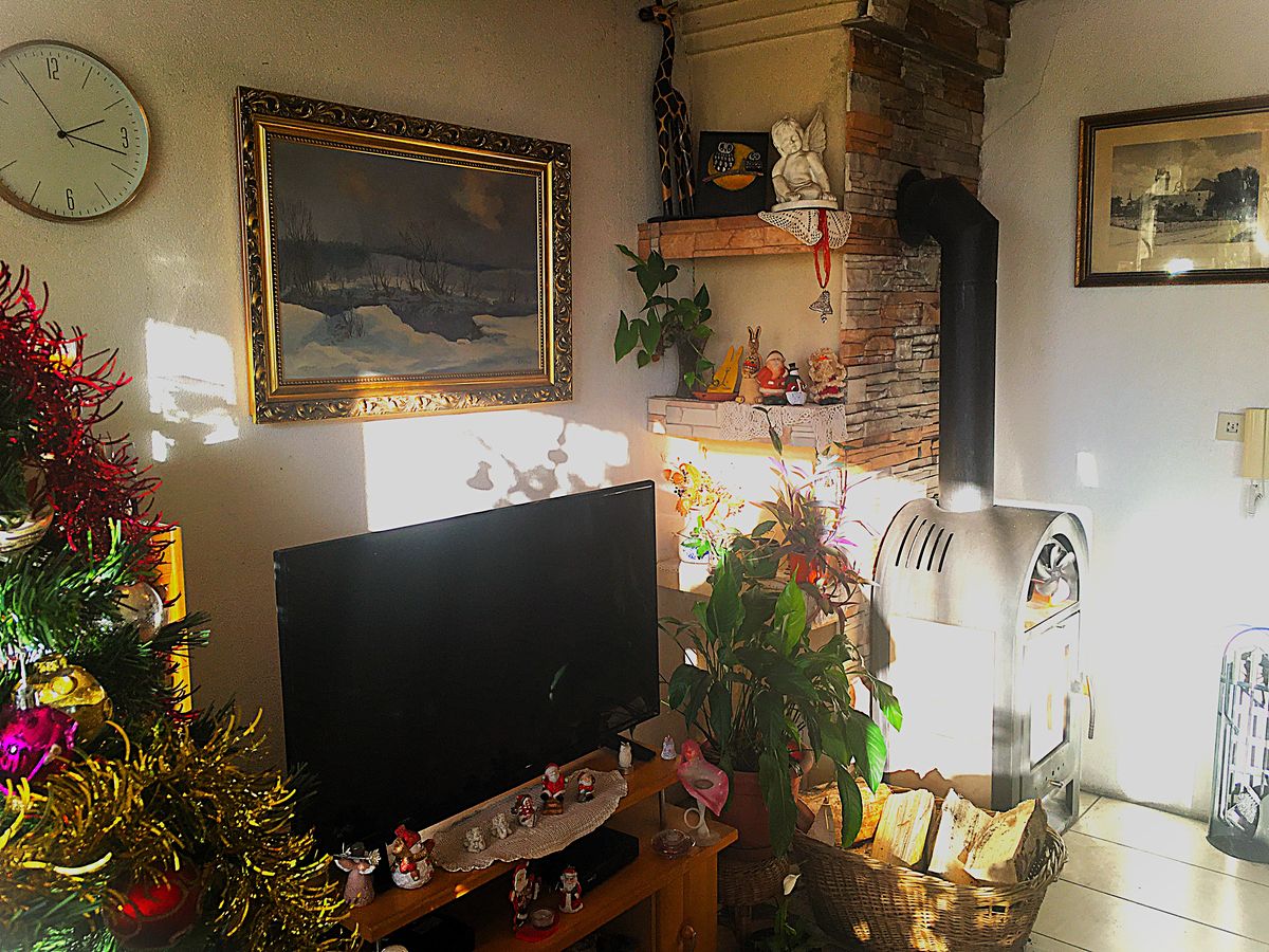 Prodej rodinného domu 365 m², pozemek 527 m² – fotografie 5