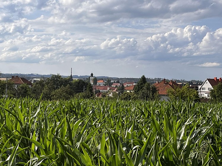 Prodej pozemku, 4 468 m² (7 z 13)