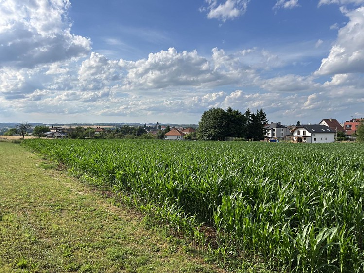 Prodej pozemku, 4 468 m² (11 z 13)