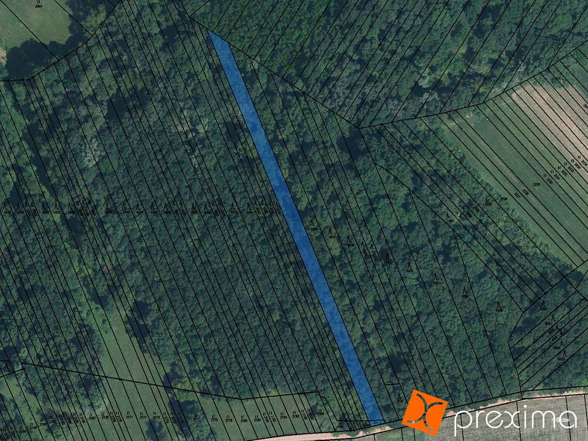 Prodej lesa 2484 m², Veselí nad Moravou – fotka 1 z 3