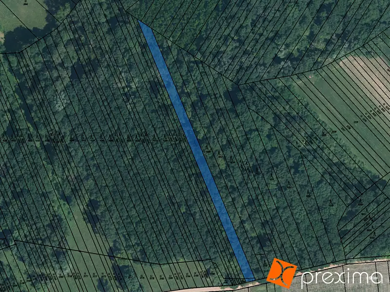 Prodej lesa 2484 m², Veselí nad Moravou – náhled fotky 1