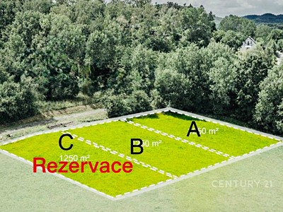 Bělá pod Bezdězem, okres Mladá Boleslav