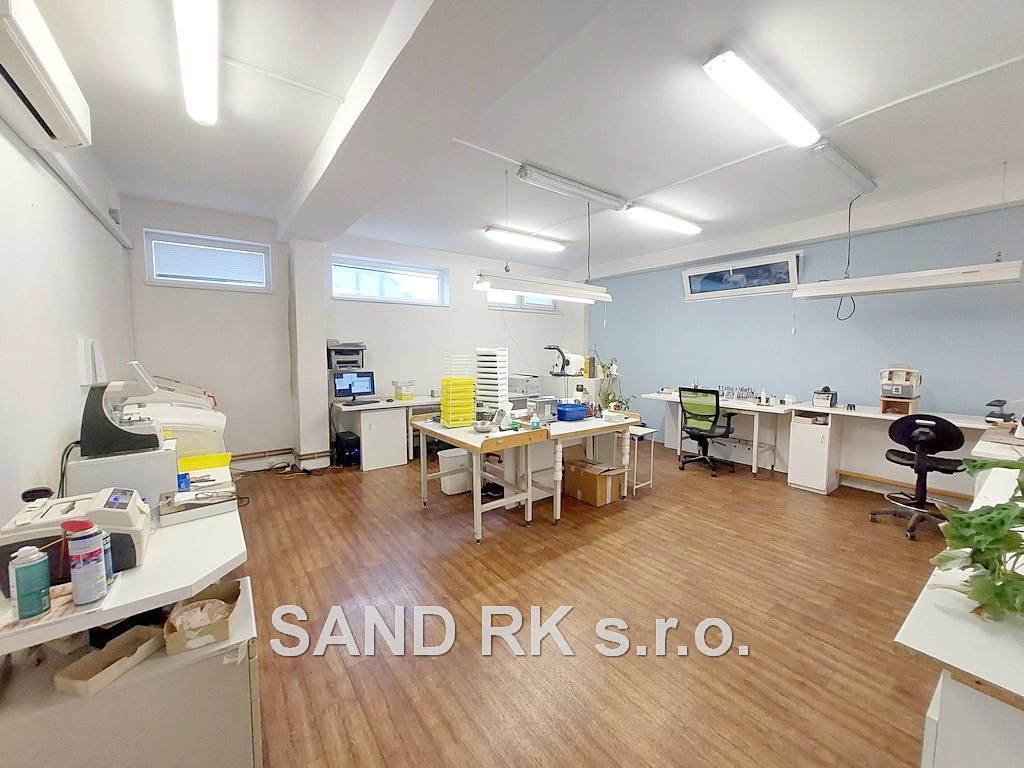 Pronájem komerční nemovitosti 400 m² – fotografie 2