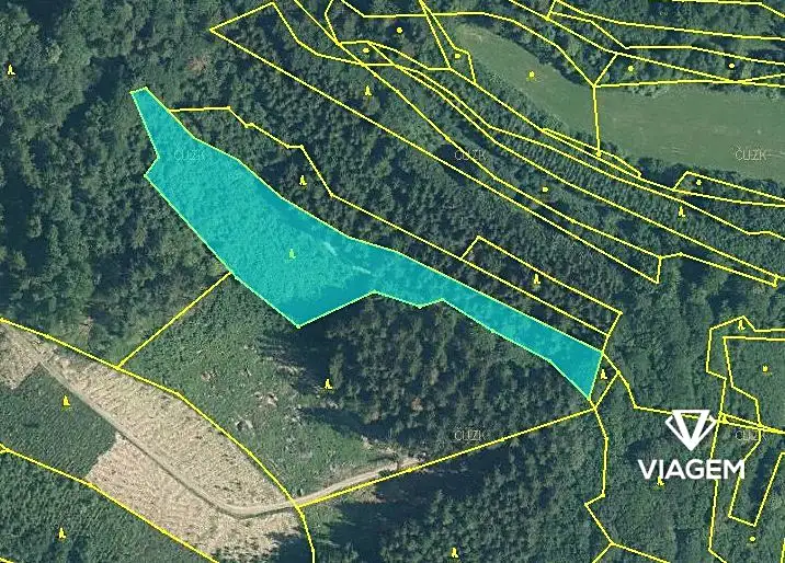 Prodej lesa 7968 m², Leskovec – náhled fotky 2