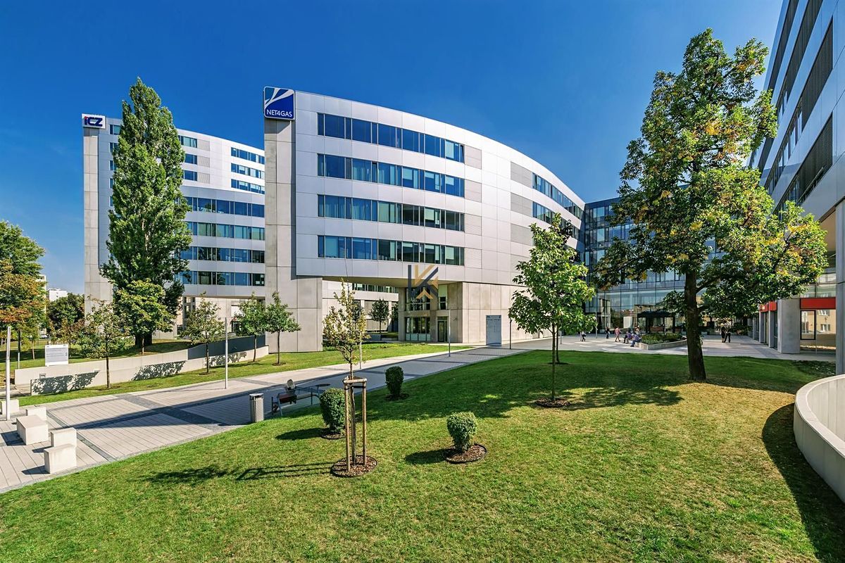 Pronájem kanceláře 651 m² – fotografie 3