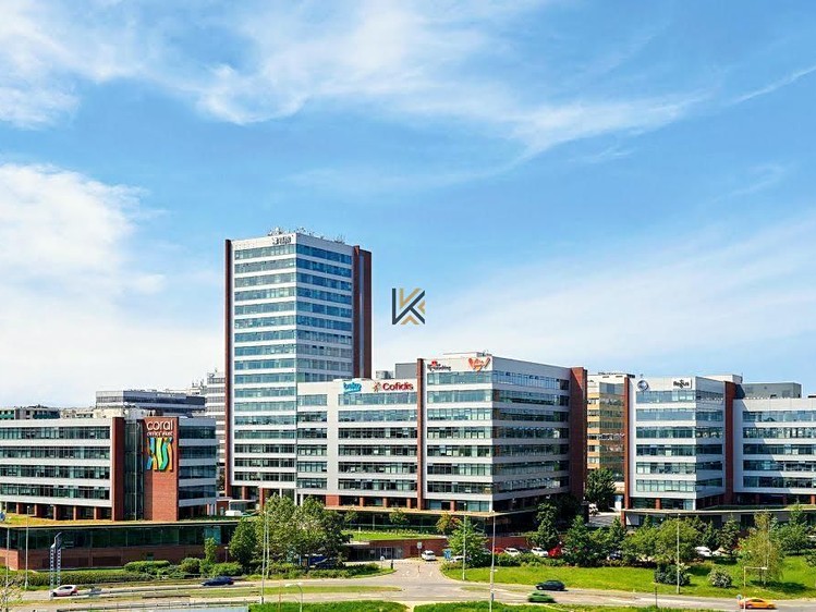 Pronájem komerčního prostoru, 487 m² (8 z 13)