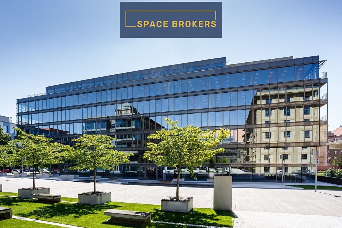 Pronájem kanceláře 564 m² – fotografie 5