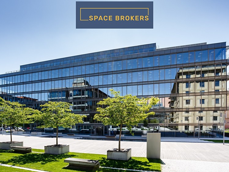 Комерційне приміщення в оренду, 564 м² (5 з 21)