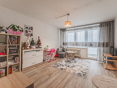 Prodej bytu 3+1 67 m²