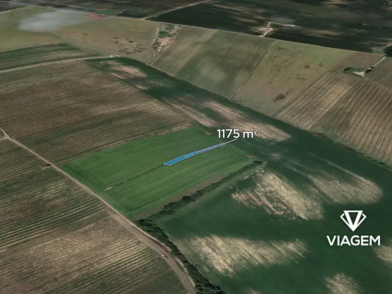 Prodej pole 1175 m², Prušánky – náhled fotky 1