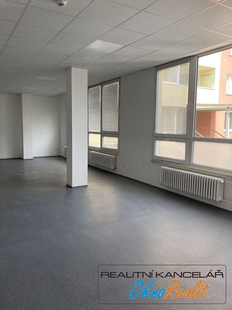 Pronájem obchodního prostoru 255 m² – fotografie 3