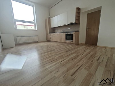 Pronájem bytu 2+1 104 m² (Jednopodlažní)