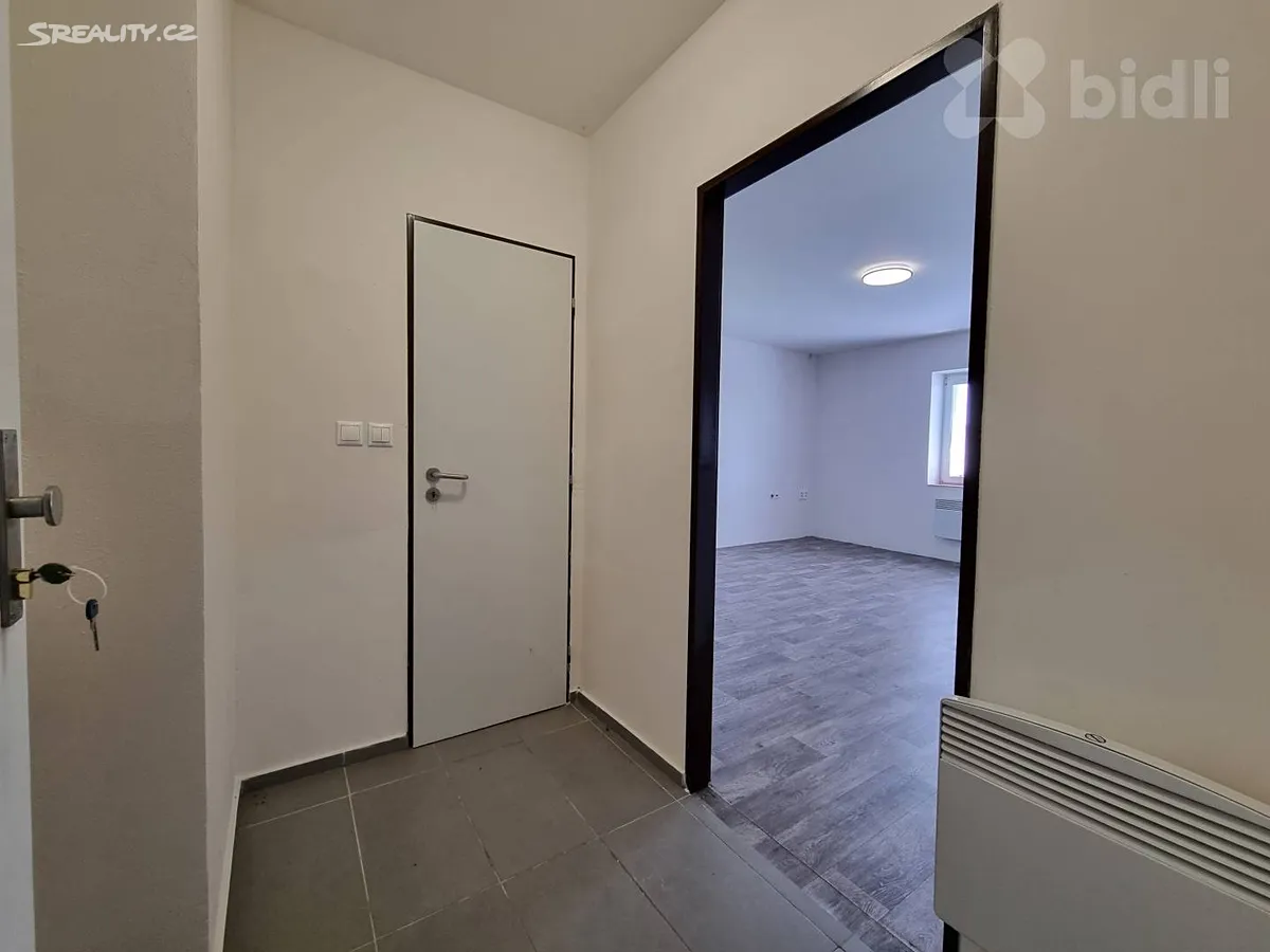 Pronájem bytu 1+kk 30 m² – pohled 6