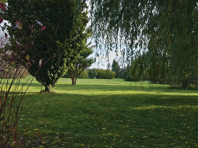 Grundstück zum Kauf, 7.200 m² (15 von 19)