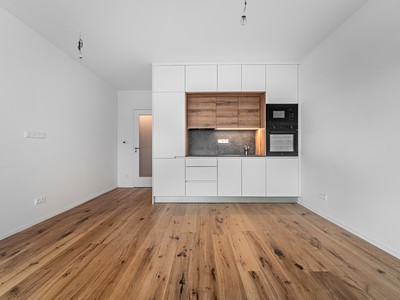 Pronájem bytu 2+kk 45 m² (Jednopodlažní)