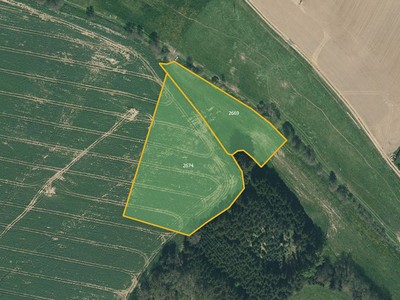 Prodej  pole 5 420 m²