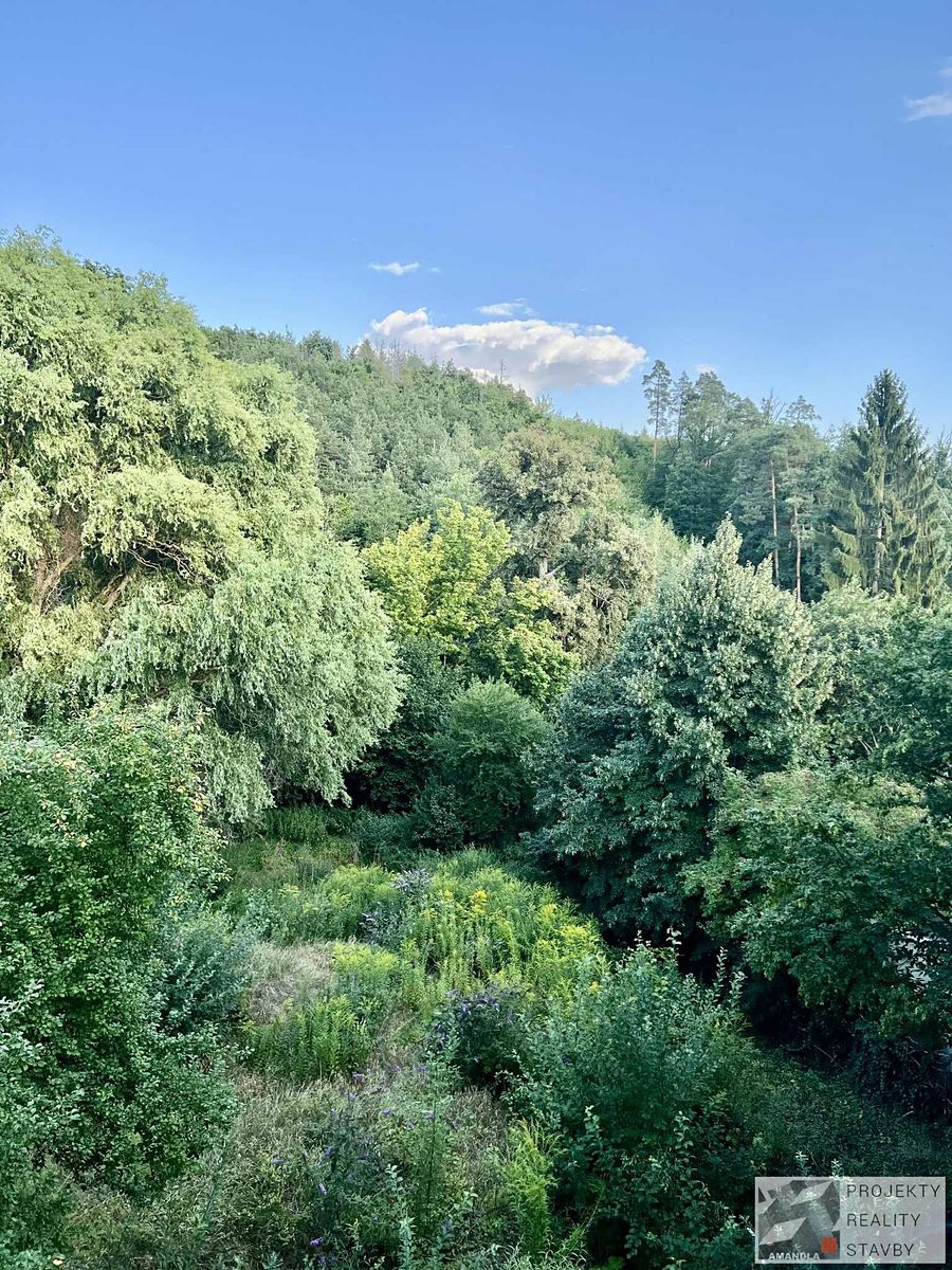 Prodej vily 650 m², pozemek 2052 m² – fotografie 3