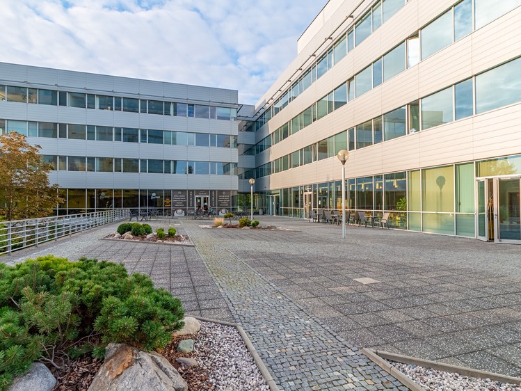 Комерційне приміщення в оренду, 290 м² (3 з 4)