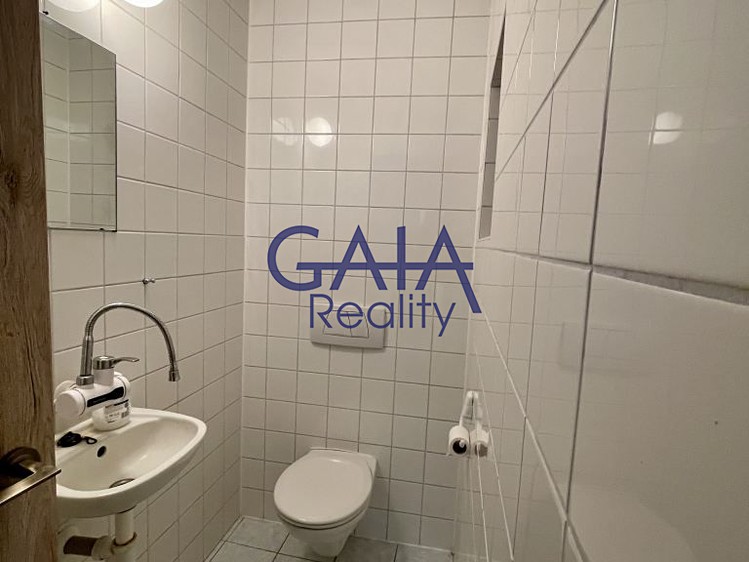 Pronájem komerčního prostoru, 213 m² (10 z 13)