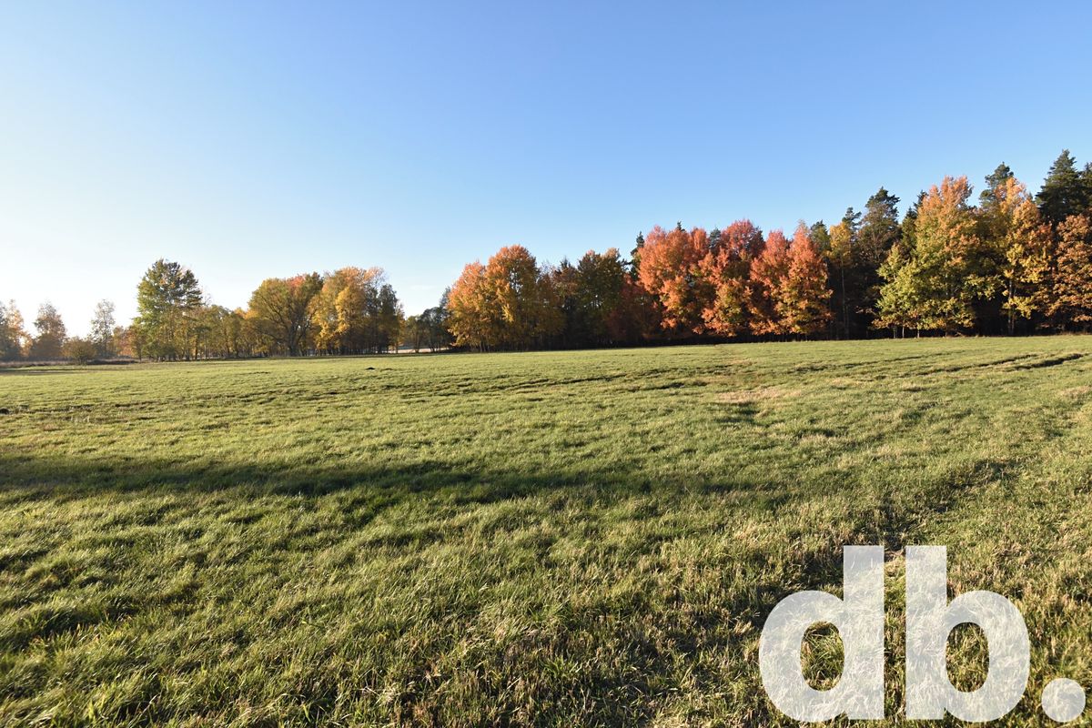 Prodej stavebního pozemku 43224 m² – fotografie 2