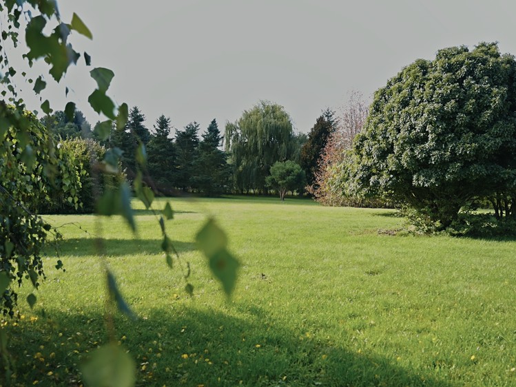 Grundstück zum Kauf, 7.200 m² (12 von 19)