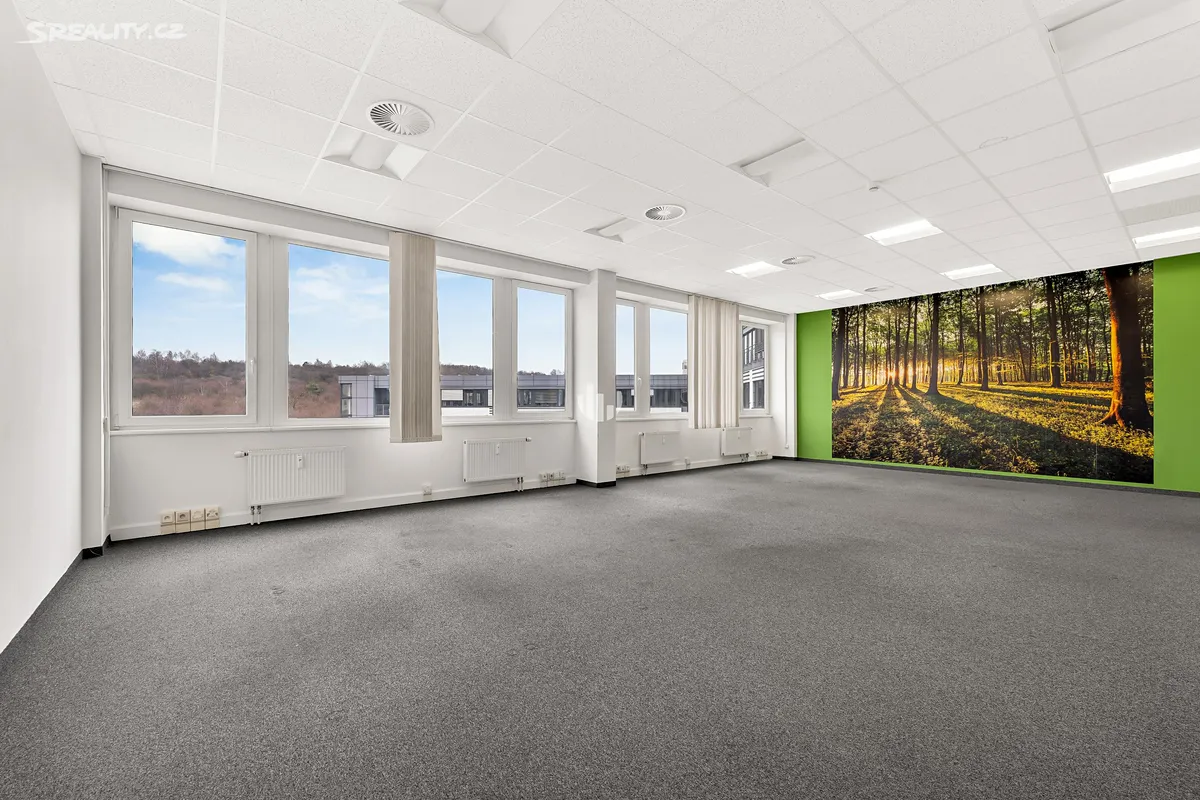 Pronájem kanceláře 479 m² – pohled 6