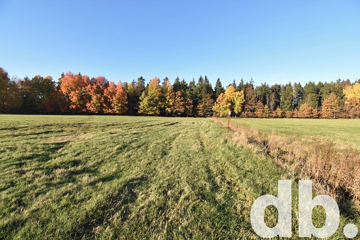 Prodej stavebního pozemku 43224 m² – fotografie 3