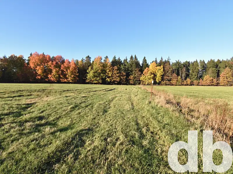 Prodej stavebního pozemku 43224 m², Nová Role – náhled fotky 3