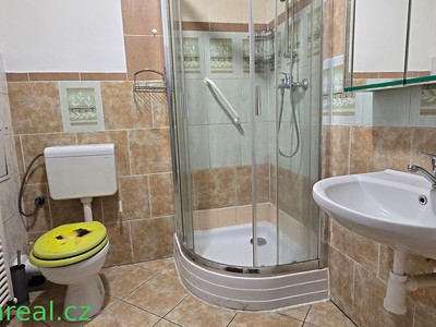 Pronájem bytu 1+1 37 m²