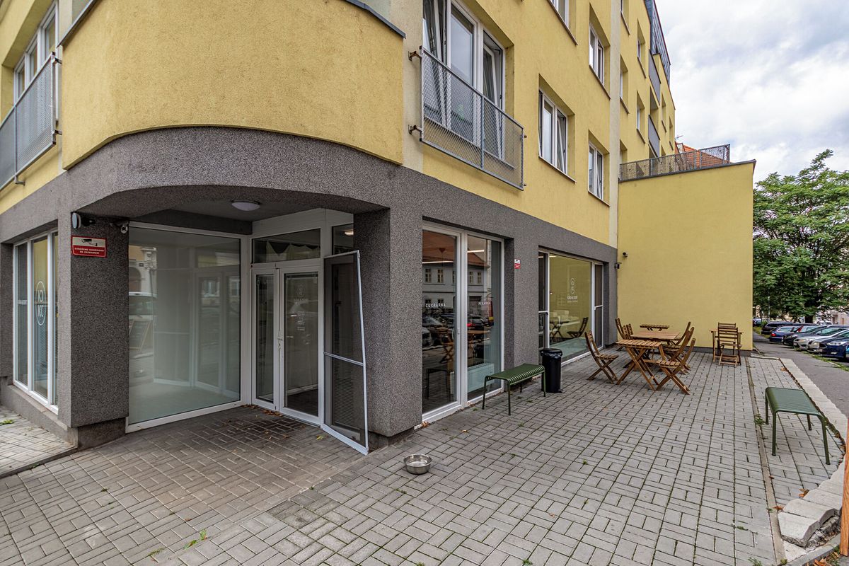 Prodej obchodního prostoru 123 m² – fotografie 4