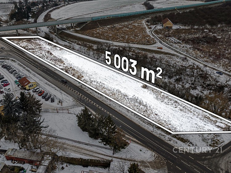 Ділянка в оренду, 5 003 м² (7 з 17)