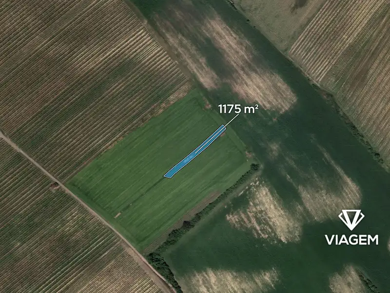 Prodej pole 1175 m², Prušánky – náhled fotky 2