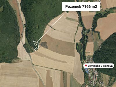 Prodej lesa 7166 m²