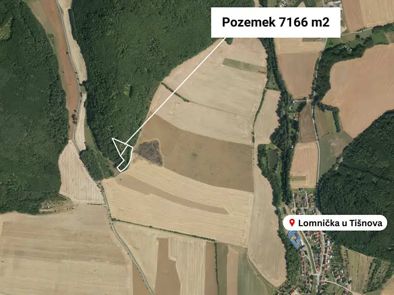 Prodej lesa 7166 m², Lomnička – náhled fotky 1