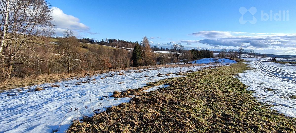 Prodej louky 3998 m²