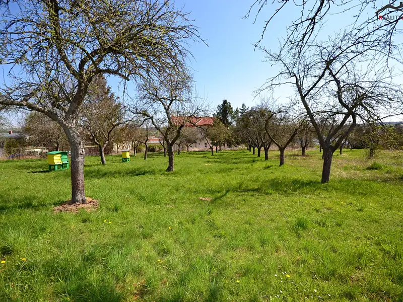 Prodej zahrady 363 m², Bučovice – náhled fotky 1