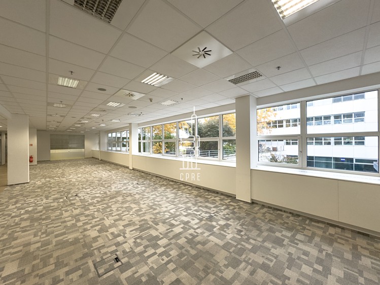 Gewerbefläche zur Miete, 364 m² (6 von 14)
