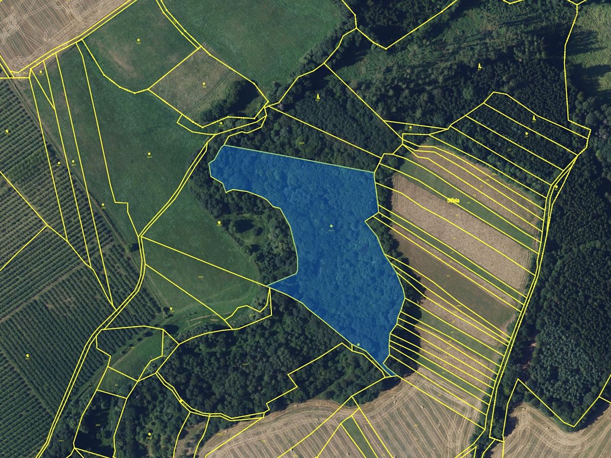 Prodej lesa 20988 m² – fotografie 2