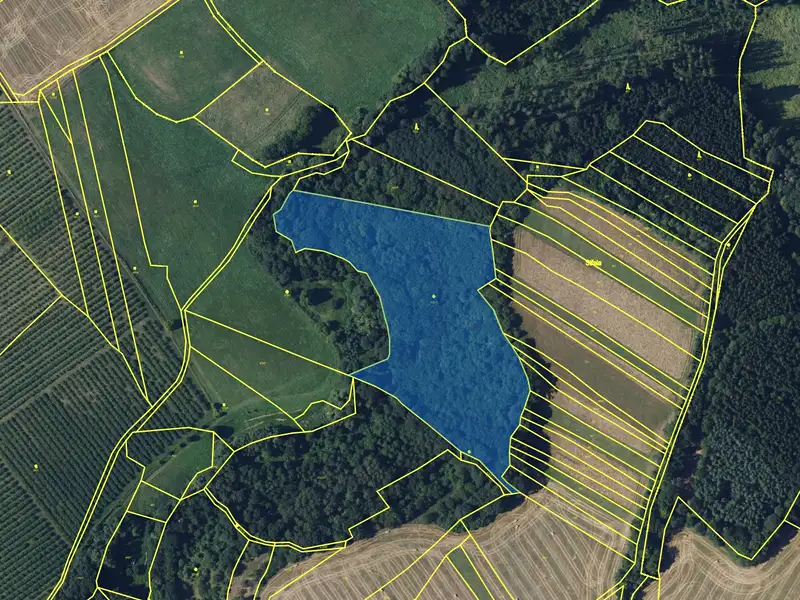 Prodej lesa 20988 m², Rohozec – náhled fotky 2