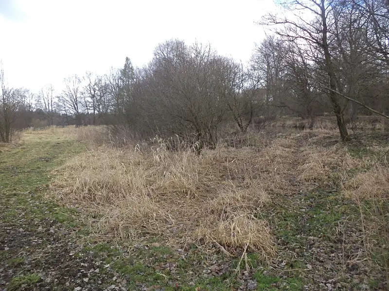Prodej pozemku 6591 m², Novosedly nad Nežárkou – náhled fotky 2